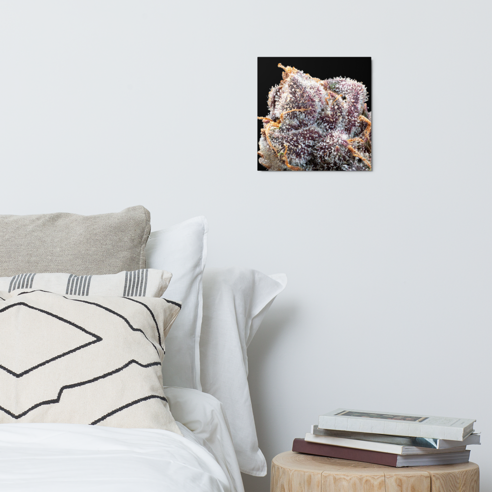 Purple Flower Metal Prints (12in. X 12in.)