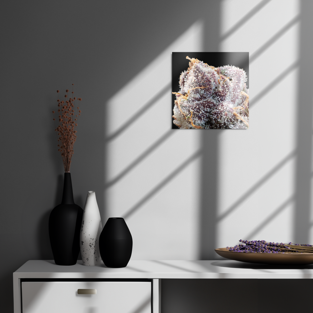 Purple Flower Metal Prints (12in. X 12in.)